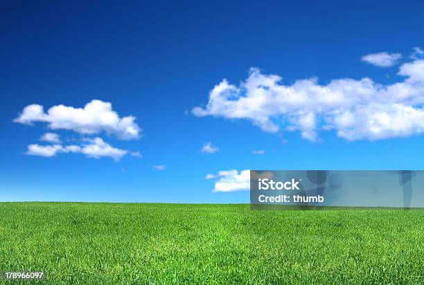 穏やかな芝生の眺め - 草原のストックフォトや画像を多数ご用意 - 草原, 空, 青
