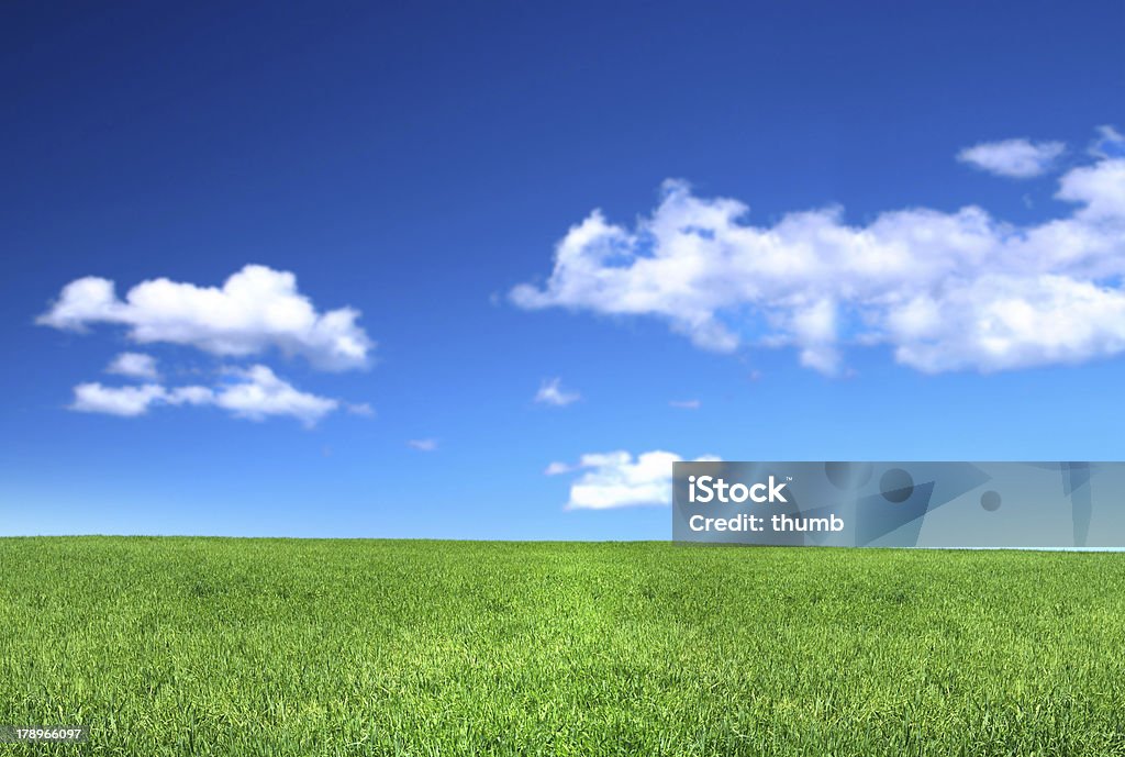 Vista do tranquilo grassland - Foto de stock de Terreno coberto de grama royalty-free