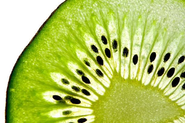 Kiwi - foto de acervo