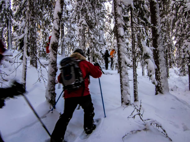 зимний пейзаж в национальном парке оуланка, лапландия, финляндия - arctic snow ski glacier стоковые фото и изображения