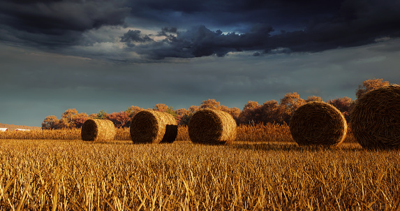 Digitally generated landscape of a large hay field with numerous straw bales on the field and dark cloudy sky in the background.

The scene was created in Autodesk® 3ds Max 2024 with V-Ray 6 and rendered with photorealistic shaders and lighting in Chaos® Vantage with some post-production added.