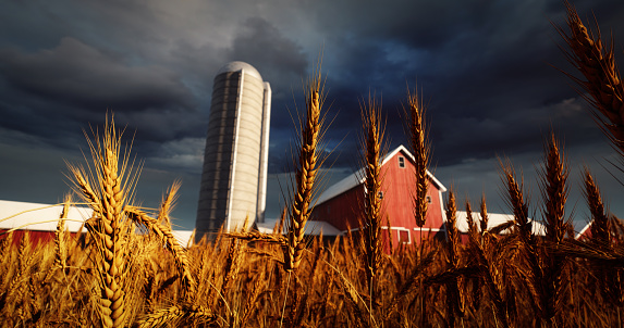 Digitally generated dramatic scenery capturing the contrast between the golden wheat field and the ominous storm clouds gathering above a traditional red barn and silo.

The scene was created in Autodesk® 3ds Max 2024 with V-Ray 6 and rendered with photorealistic shaders and lighting in Chaos® Vantage with some post-production added.