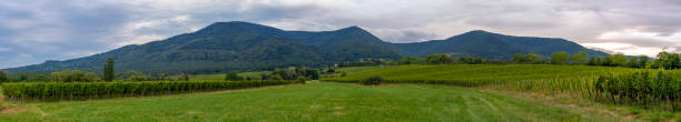 istock Obernai, France - 09 10 2021: Alsatian Vineyard. Panoramic view of vine fields along the wine route 1789699807