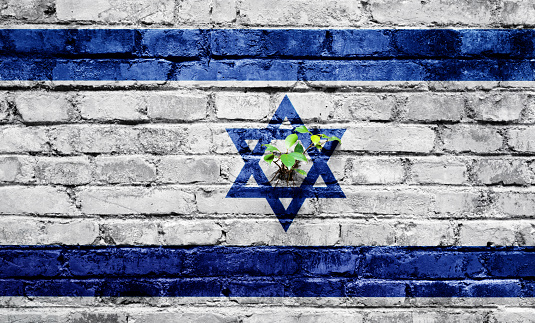 Green plant growing in brick wall, which painted Israel flag