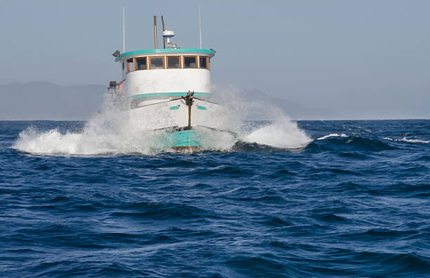 Powerboat by California coast stock photo