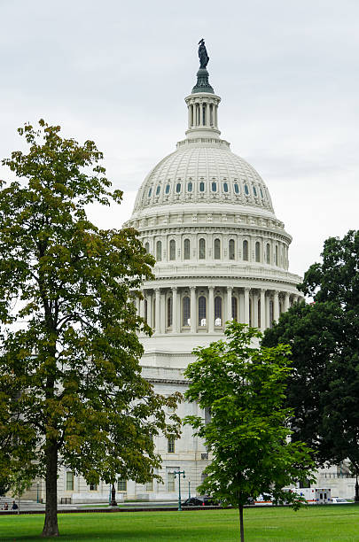 captiol здание, вашингтон, округ колумбия - captiol стоковые фото и изображения