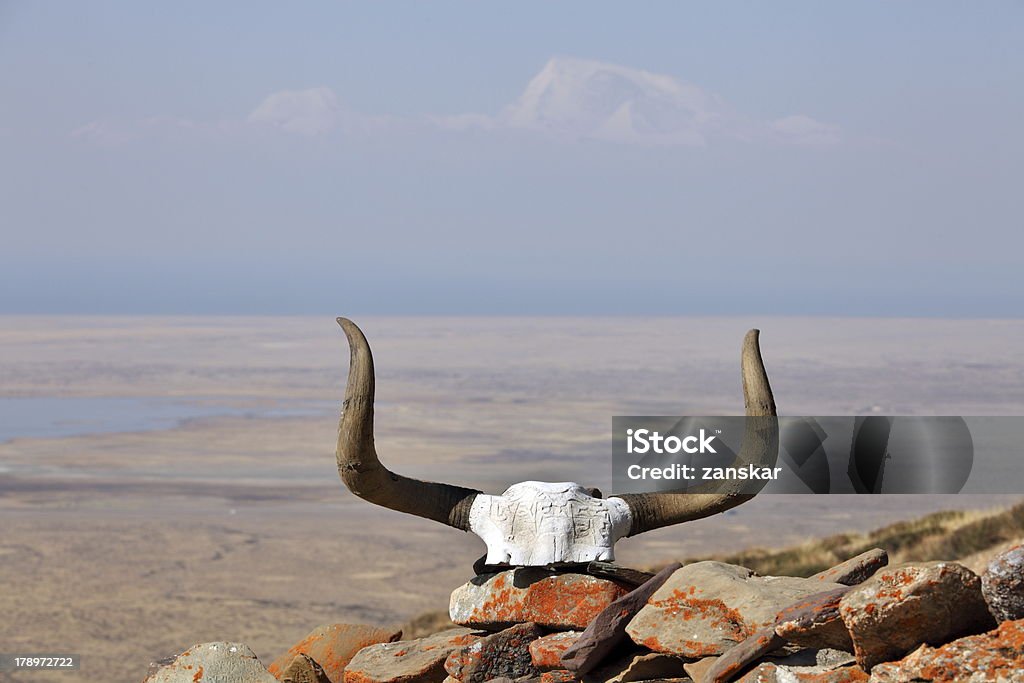 Yak crânes et mantras bouddhistes au Tibet - Photo de Art libre de droits