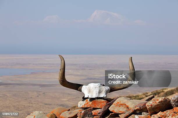 Yak Capo Con Monaci Mantra In Tibet - Fotografie stock e altre immagini di Animale - Animale, Arredamento, Arte