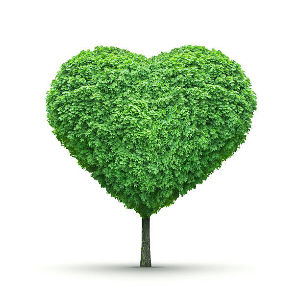 istock Green tree of love 178972737