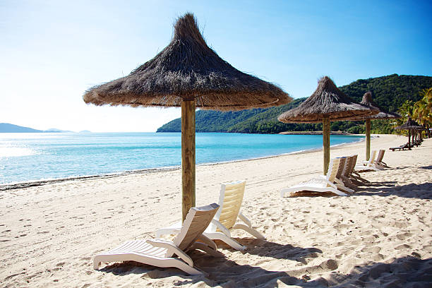 Beach chairs and grass umbrellas at resort stock photo