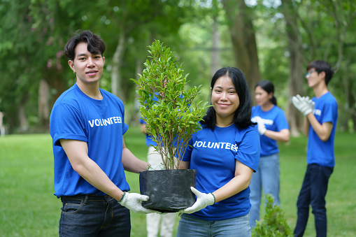 A group of Asian volunteers are helping to plant trees in a public park.