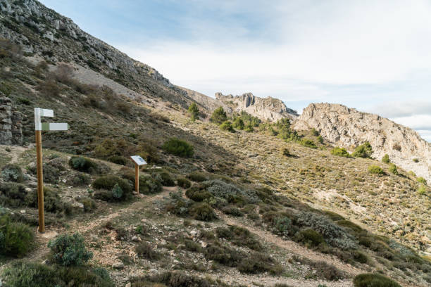 istock Beautiful landscape with mountains 1789753395