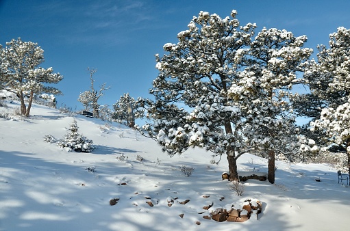 A picturesque winter scene featuring a snow-covered landscape under the blue sky
