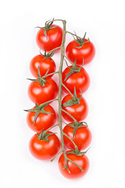 istock Branch of cherry tomatoes on a white background 178976275