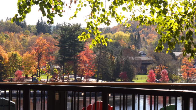 Falls Colors from Cottage Patio
