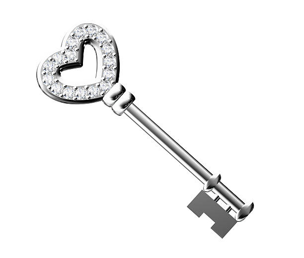The Platinum key isolated on white background