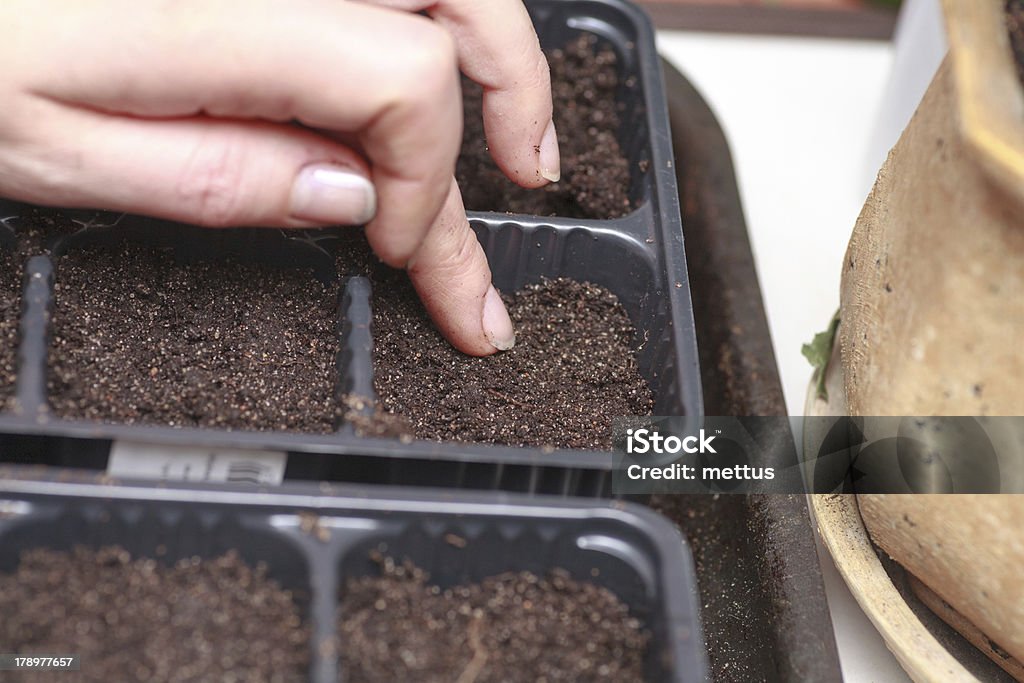 Frische Boden In einer Flowerpot - Lizenzfrei Bildhintergrund Stock-Foto