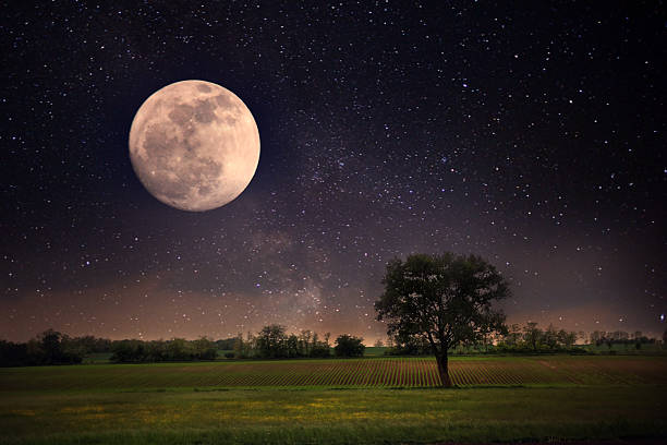 풀문 및 외로운 트리 - moon moon surface full moon night 뉴스 사진 이미지