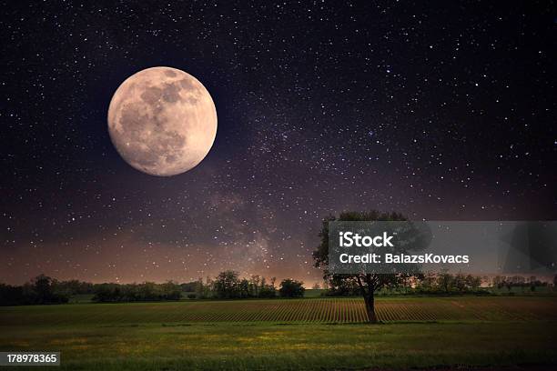Full Moon And Lonely Tree Stock Photo - Download Image Now - Moon Surface, Moon, Planetary Moon