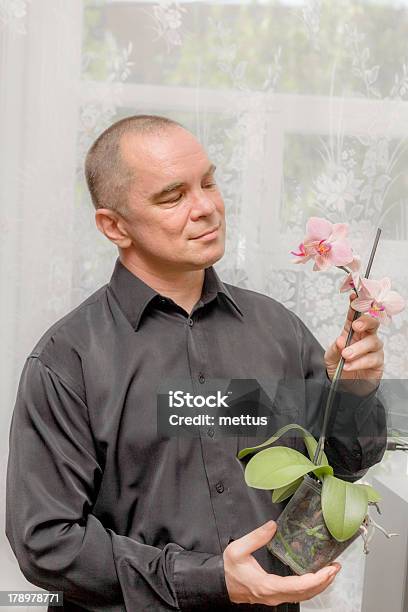 Porträt Des Nahen Im Alter Mann Stockfoto und mehr Bilder von Männer - Männer, Orchidee, 35-39 Jahre