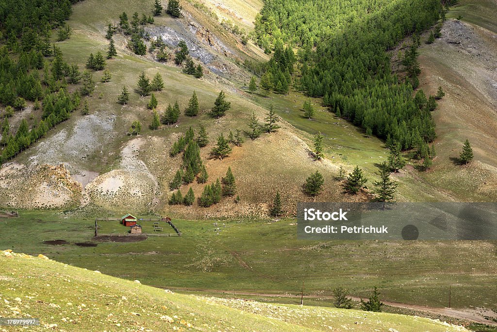 Paysage de montagnes de Mongolie - Photo de Arbre libre de droits