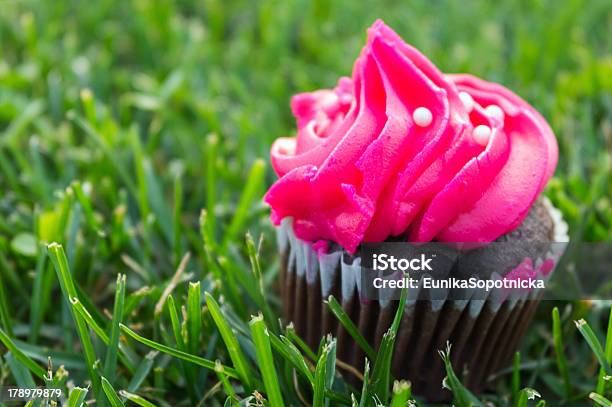 초콜릿 머핀 핑크 크림 컵케이크에 대한 스톡 사진 및 기타 이미지 - 컵케이크, 풀-벼과, 0명