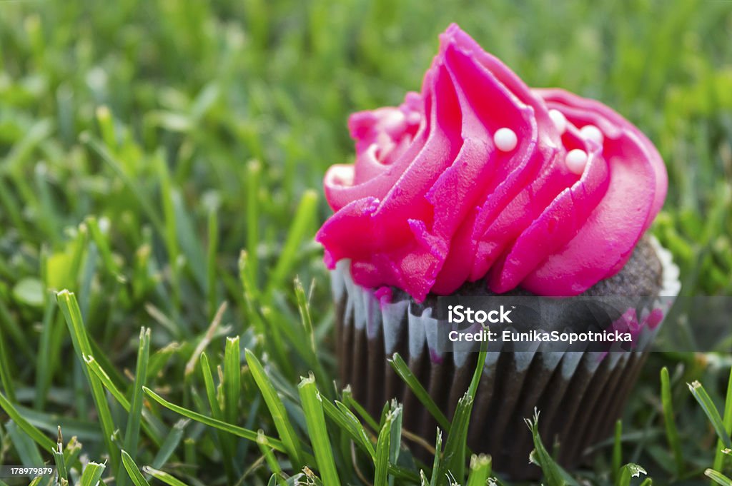 Czekolada muffin z Różowe Lody - Zbiór zdjęć royalty-free (Cupcake)