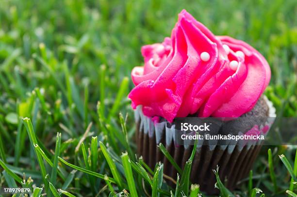 Czekolada Muffin Z Różowe Lody - zdjęcia stockowe i więcej obrazów Cupcake - Cupcake, Trawa, Bez ludzi