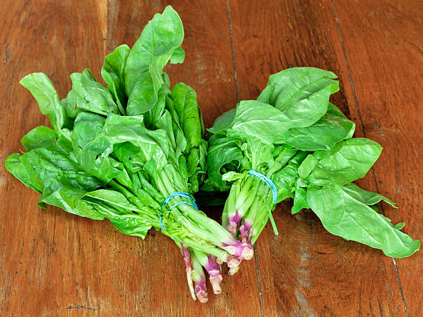 bunch of fresh green spinach