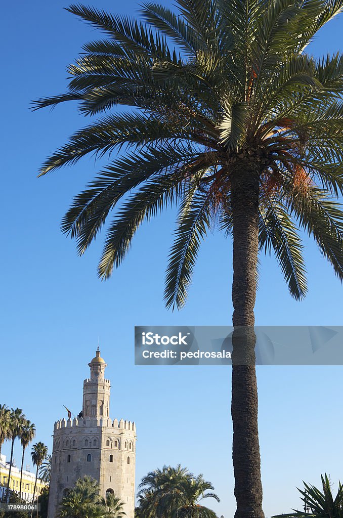 Золотой Башня - Стоковые фото Андалусия роялти-фри