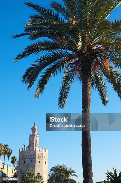 Золотой Башня — стоковые фотографии и другие картинки Андалусия - Андалусия, Архитектура, Башня