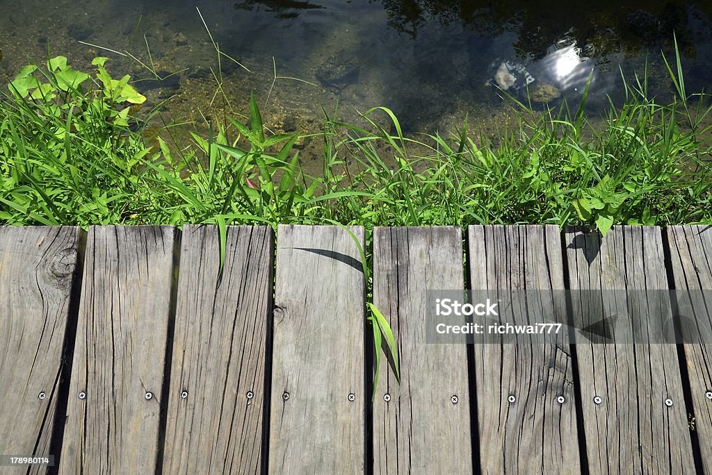 Swamp Trail - Zbiór zdjęć royalty-free (Bagno)