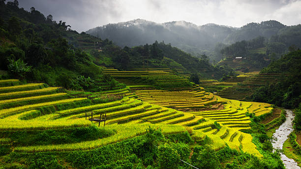 terraços de arroz em mu cang chai, perto de sapa cidade, vietnã - bac ha - fotografias e filmes do acervo