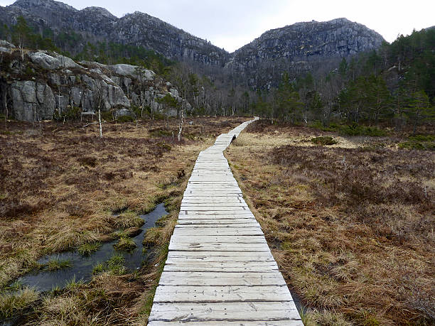 istock wooden track in rural landscape 178981560
