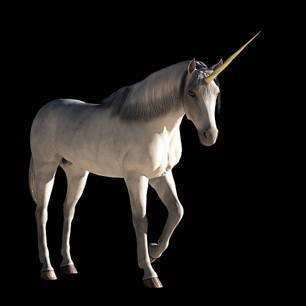 Unicorn stock photo