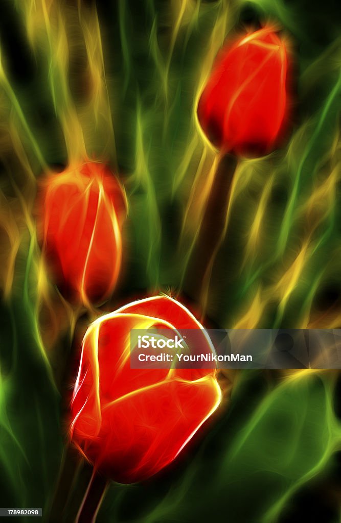 Das Feuer von Tulpen - Lizenzfrei Abstrakt Stock-Foto