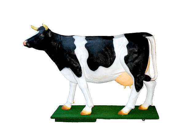 istock Full-size dummy of cow breed Dutch 178982218