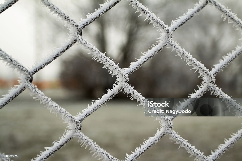 Проволоки Забор с hoarfrost - Стоковые фото Архитектура роялти-фри