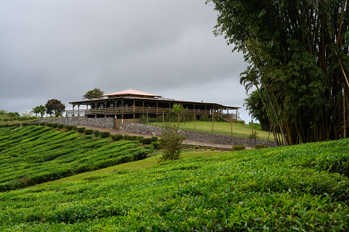 Bois Cheri, Mauritius - October 18 2023: Bois Cheri Restaurant and Tea Garden Exterior which hosts Tea Tastings.