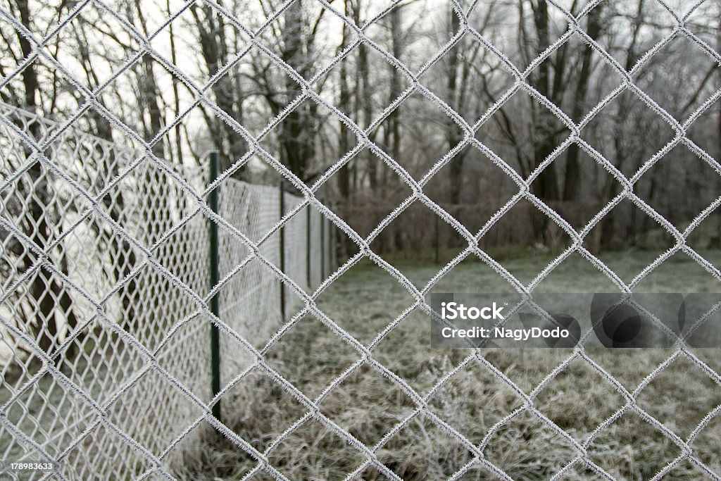 Draht Zaun mit hoarfrost - Lizenzfrei Abstrakt Stock-Foto