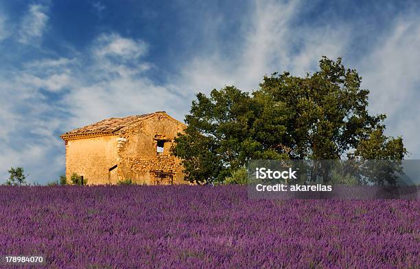 Old Barn In Provence Stock Photo - Download Image Now - Abandoned, Agricultural Field, Agriculture