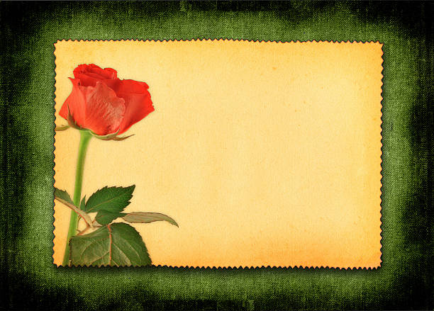 retrò amore carta - handmade paper flower single flower rose foto e immagini stock