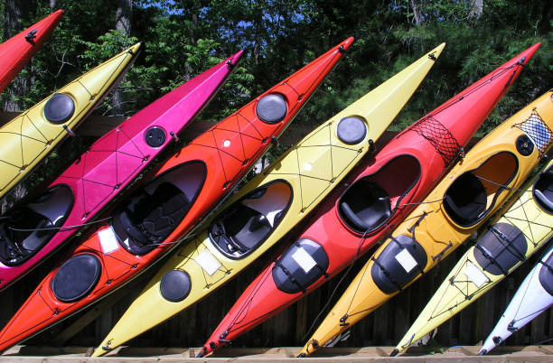 istock Collection of multi-colored kayaks for sale 1789846413