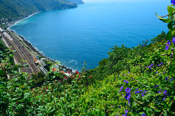 Cтоковое фото Ligurian видом на море