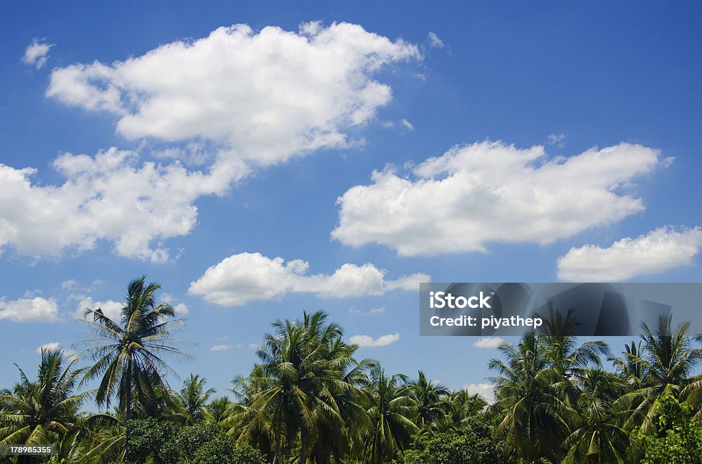 Soffici nuvole bianche nel cielo azzurro. - Foto stock royalty-free di Ambientazione esterna