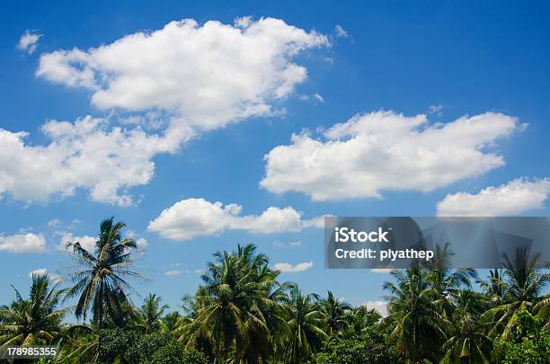 Soffici Nuvole Bianche Nel Cielo Azzurro - Fotografie stock e altre immagini di Ambientazione esterna - Ambientazione esterna, Aperto, Bellezza naturale