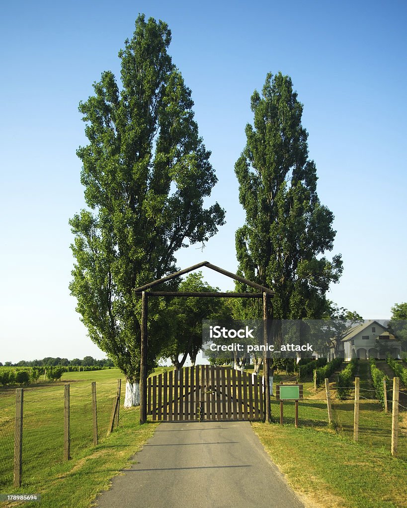Wooden gates at winery house Retro wooden entrance to the winery with poplar trees Agriculture Stock Photo