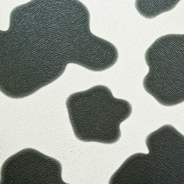 Cow print on seamless leather Blacks cow print on seamless leather leather white hide textured stock pictures, royalty-free photos & images