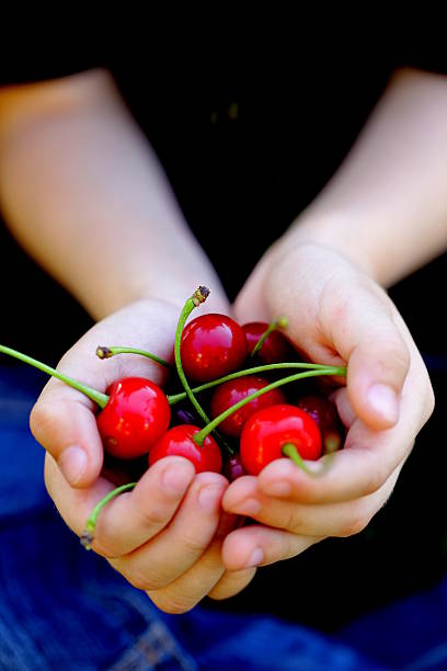 istock berry cherry in children's hands - organic concept 178985764