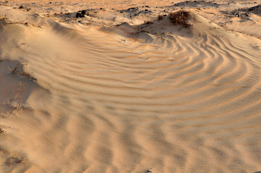 Wind formed waves in the Western Abu Dhabi sand, part of the Arabian Desert, UAE